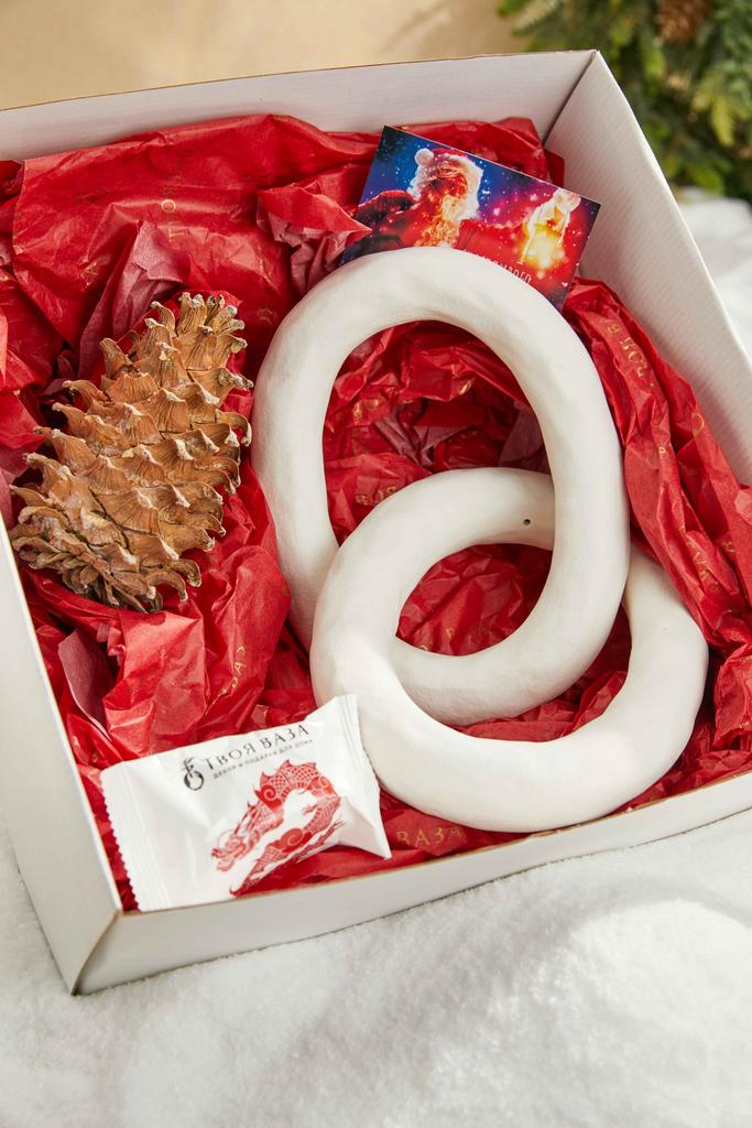 Подарочный набор - Дора