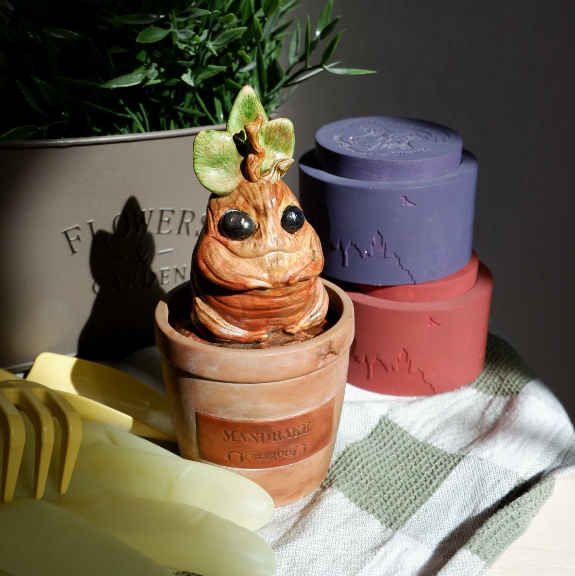 Молд Мандрагора