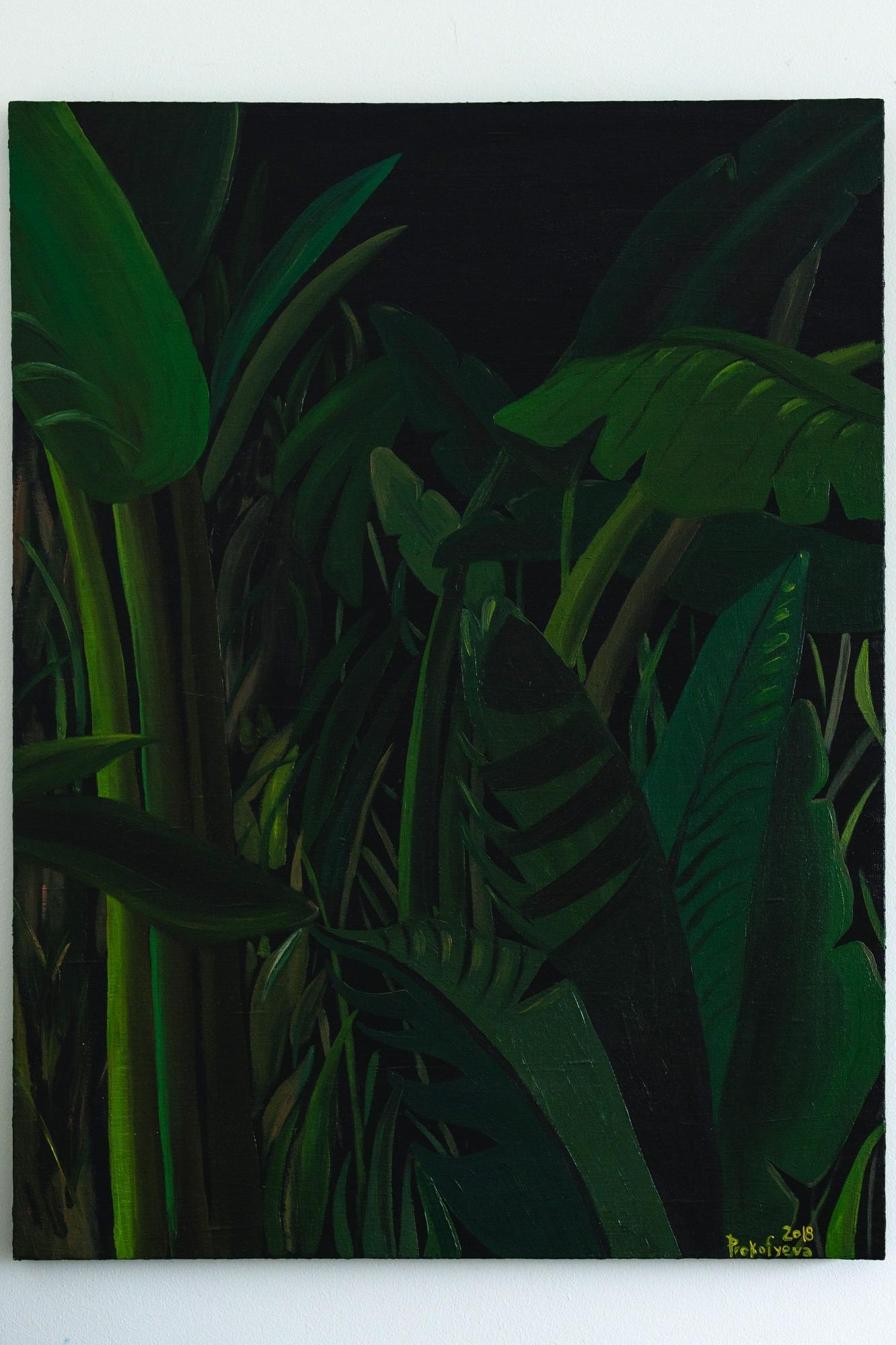 Тропики на чёрном