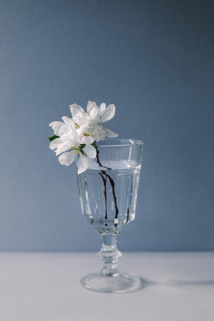 Ранняя весна, апрель 2020, 20х30