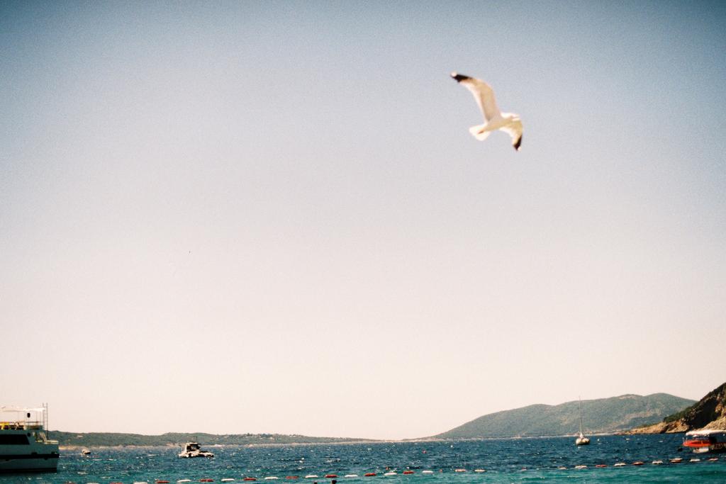 Херцег-Нови, июль 2017, 20х30