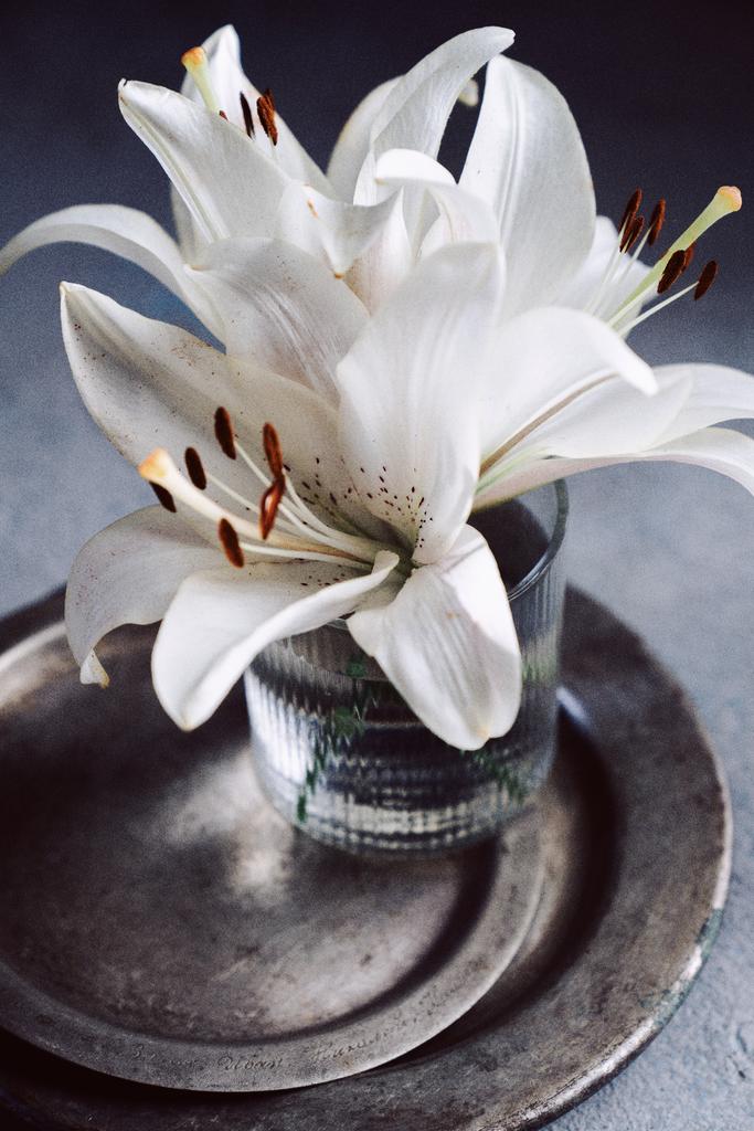 Лилии, июль 2022, 20х30