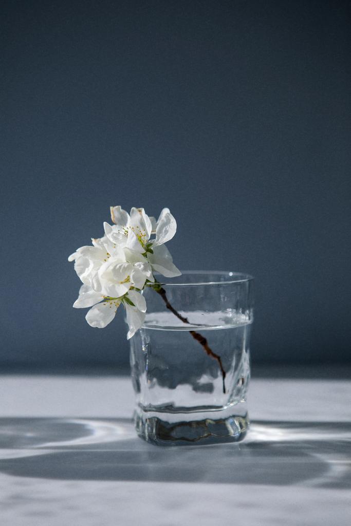 Весна 2020, 20х30