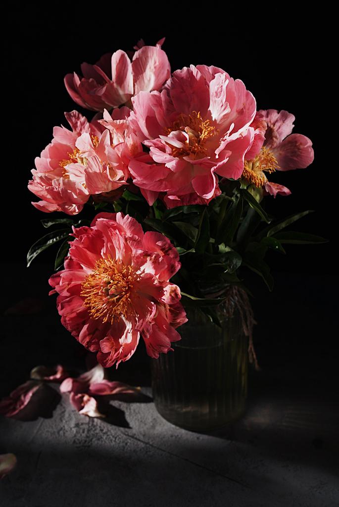 Пионы, июнь 2022, 20х30