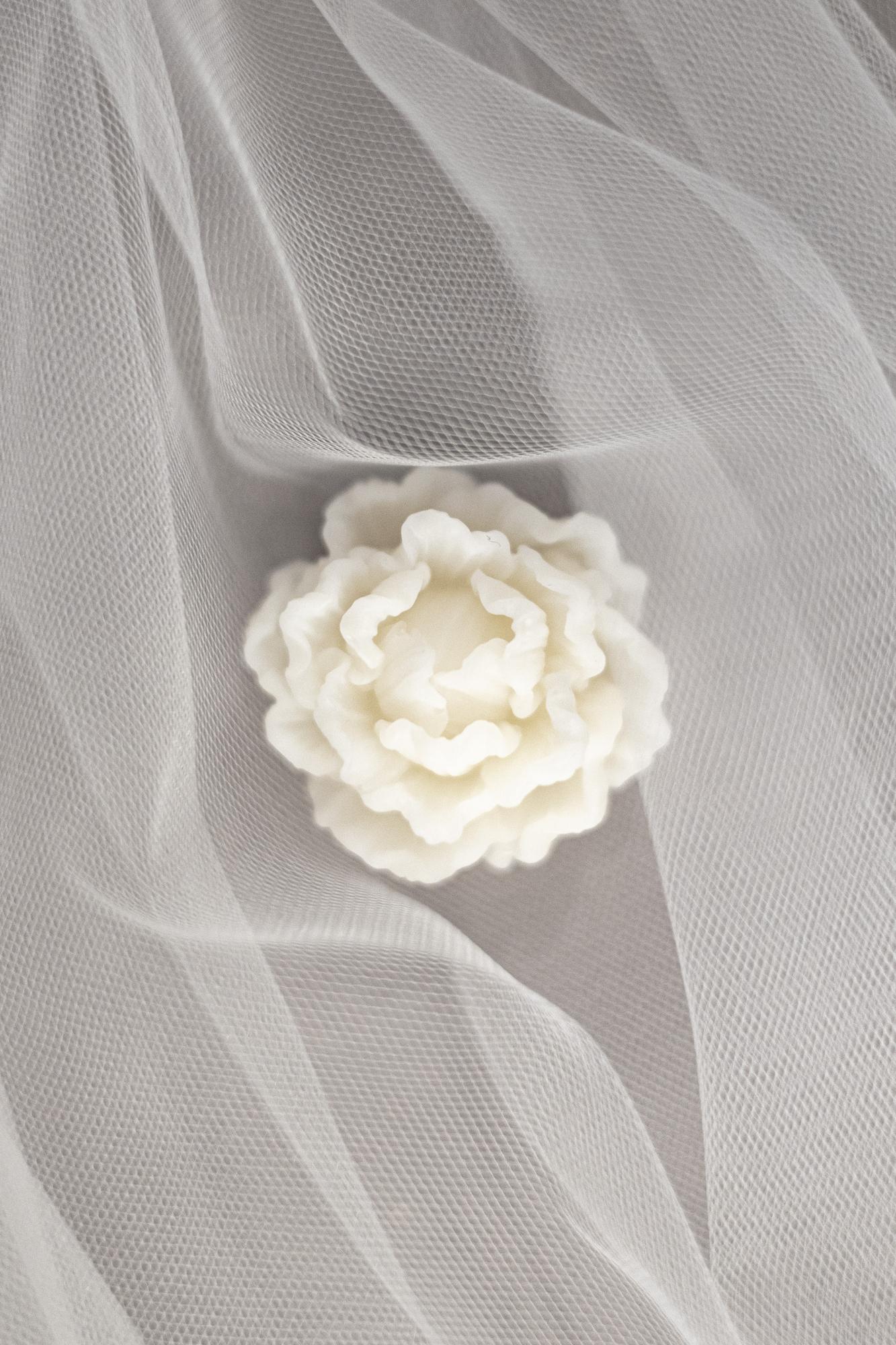 Бархатная ваниль