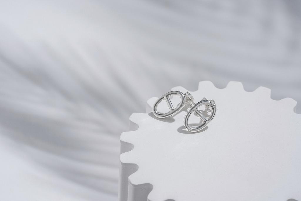 Гвоздики ЭНСО (Ag 925)