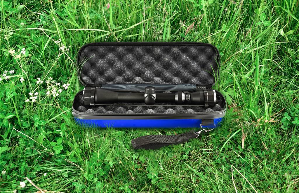 Case for optical sight