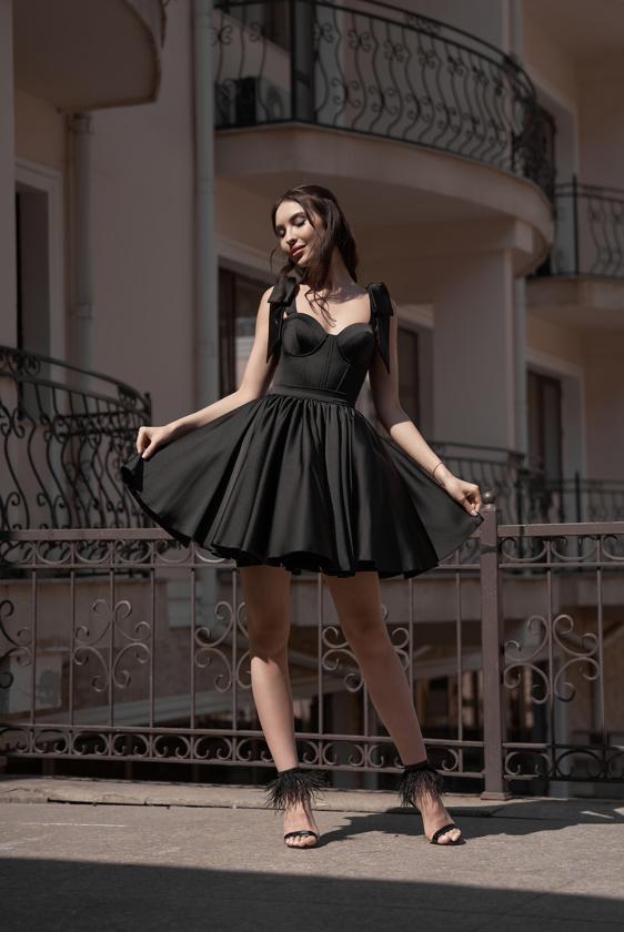 Модель Сабина черн