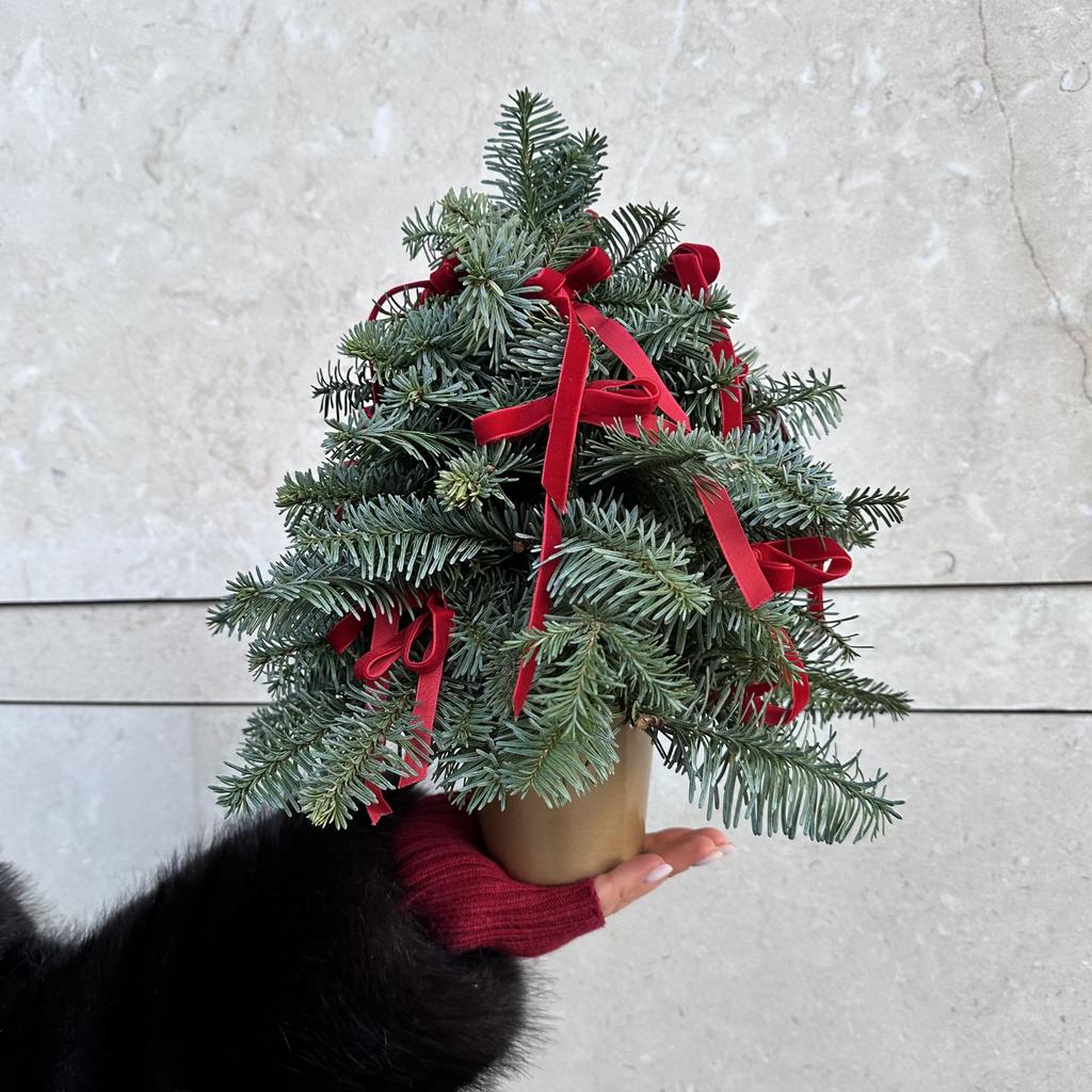 Ёлка S “Рождество»