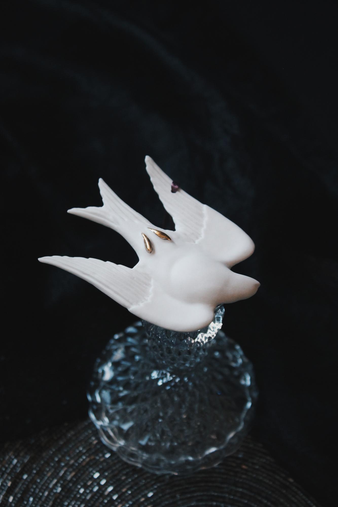 Ласточка белая