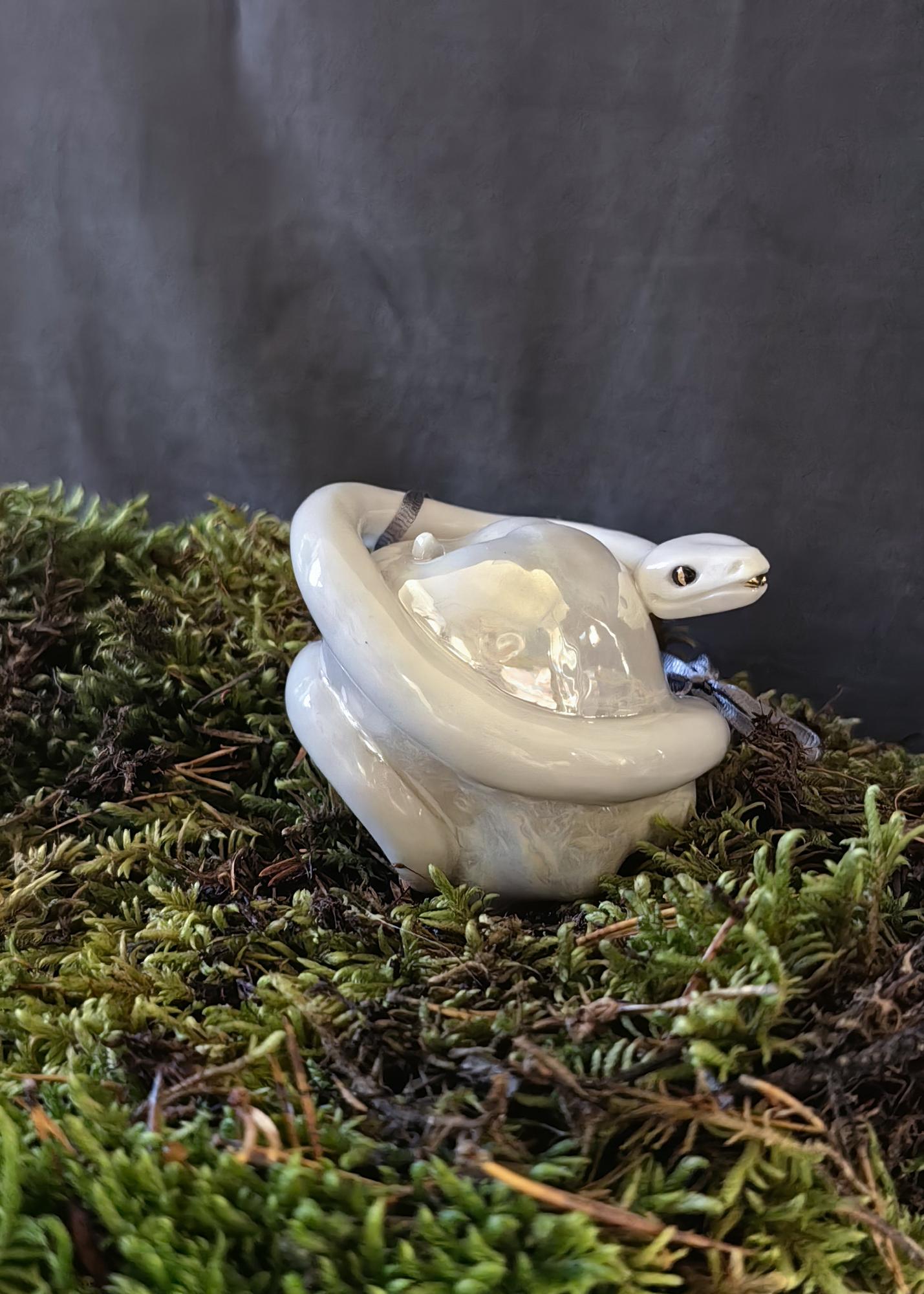 Запретный плод