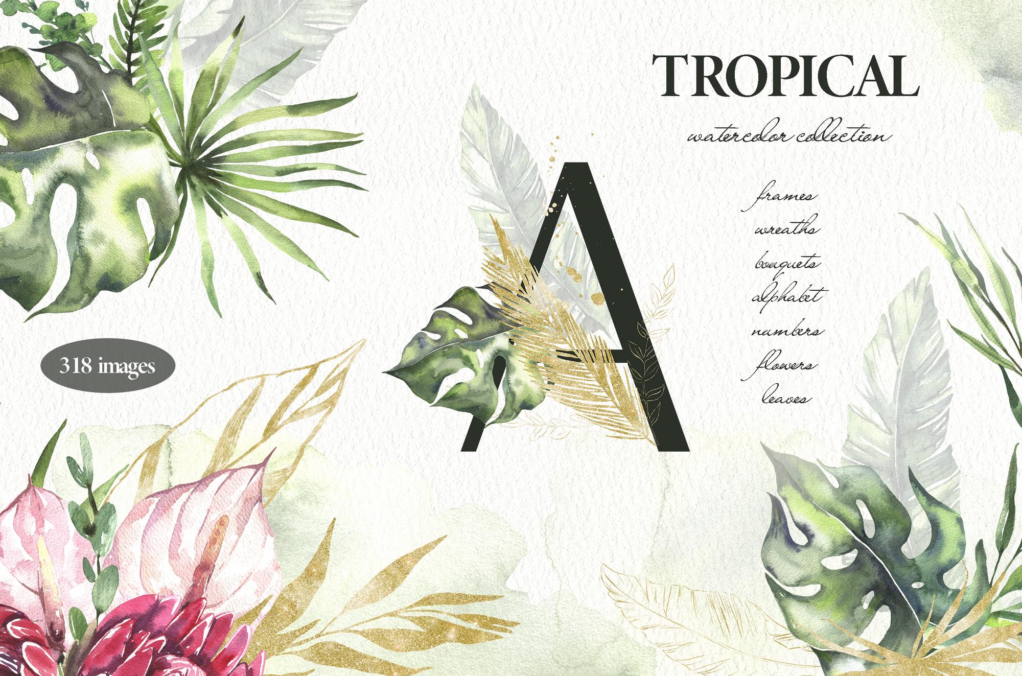 Tropical- Watercolor Collection