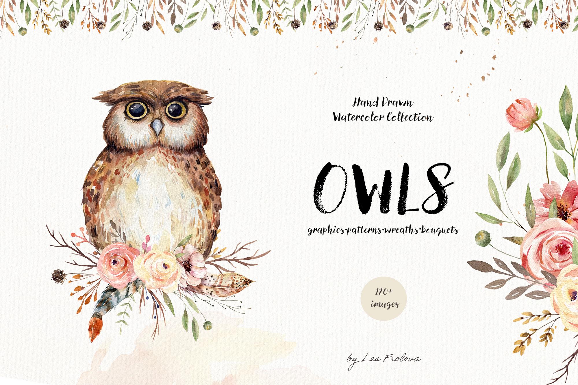 Watercolor Owl Collection