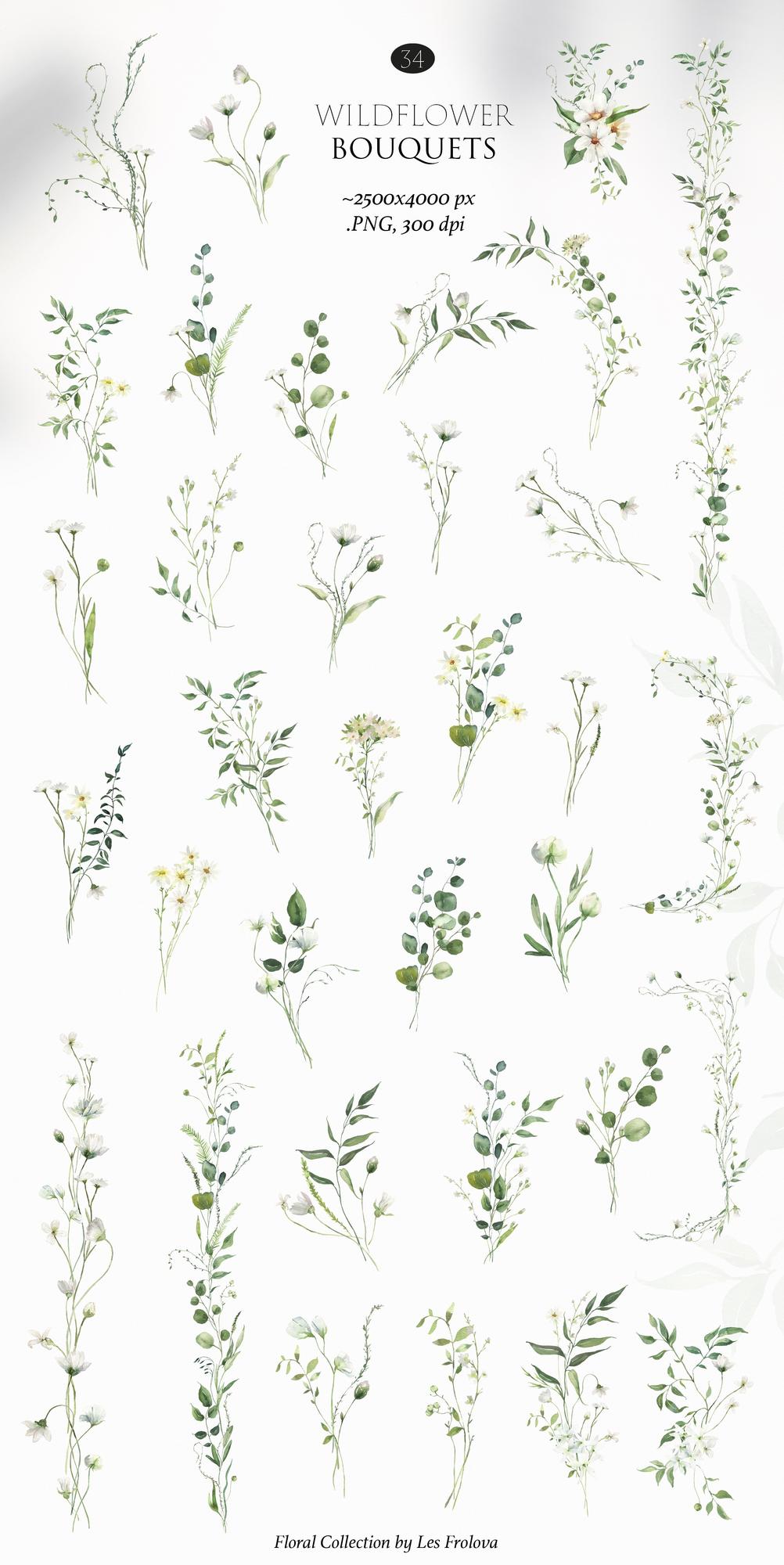 White Wildflowers Watercolor Collection