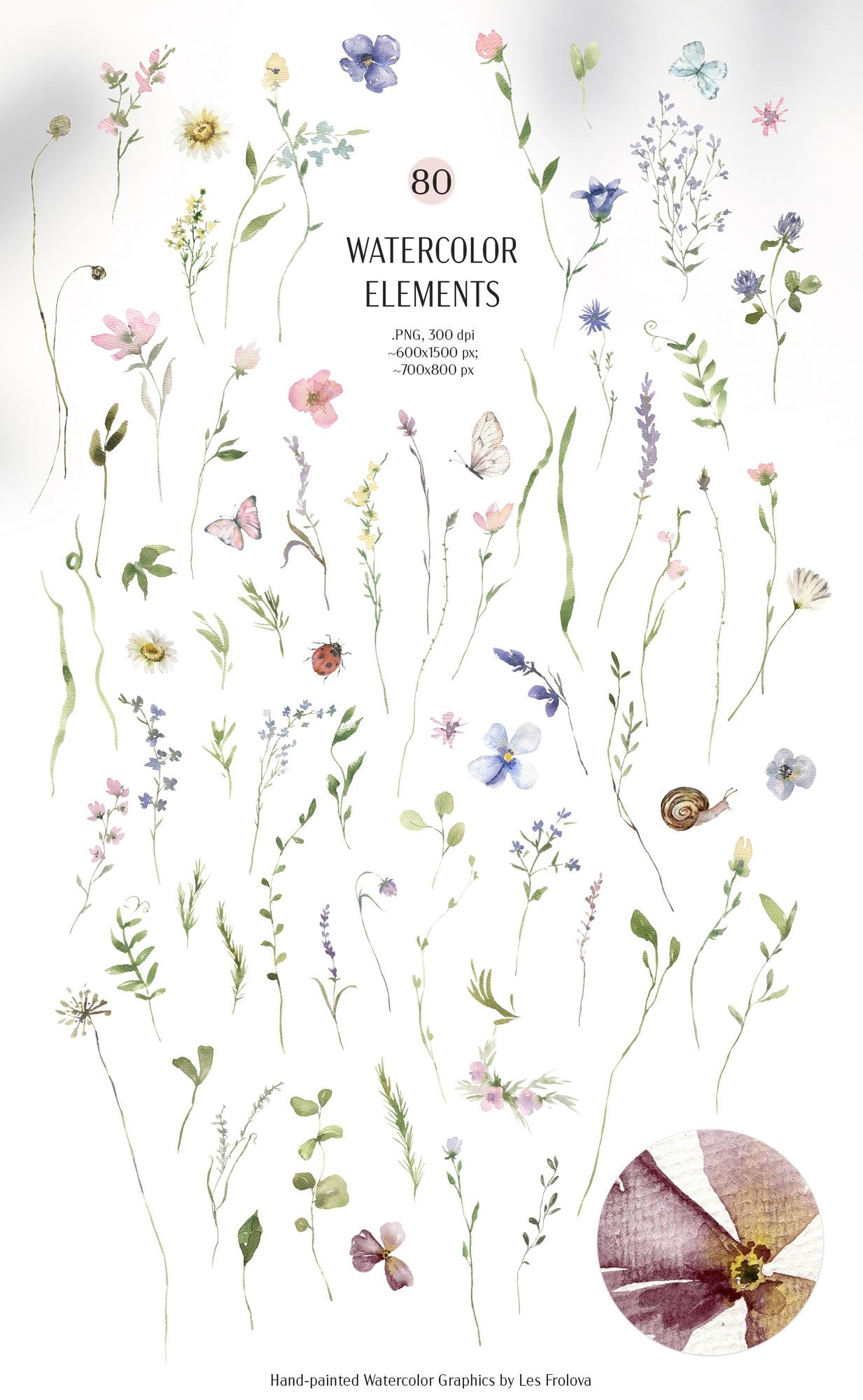 Summer Wildflowers- Watercolor Collection