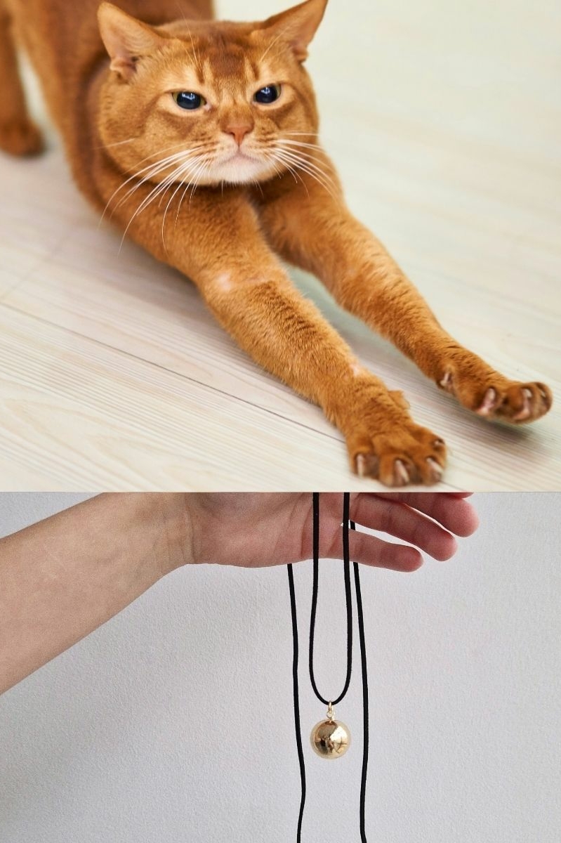 коллаж их 2-х фото: сверху — рыжий кот, снизу — кулон с шариком на шнурке в женской руке