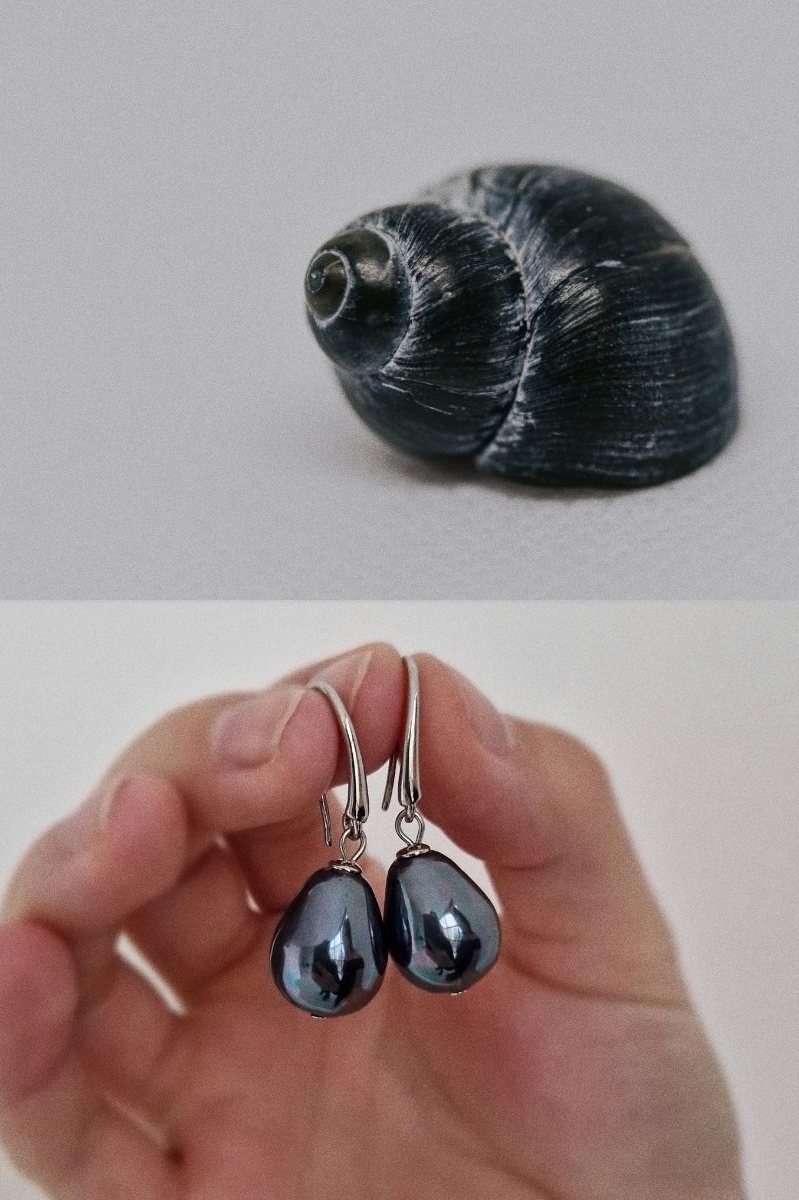 коллаж из 2-х фото: сверху — чёрная ракушка, снизу — серьги с черным жемчугом в женской руке