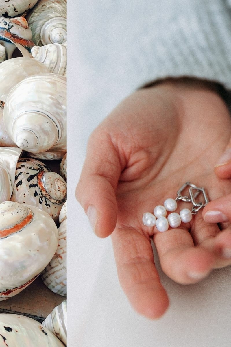 коллаж из 2-х фото: слева — ракушки, справа — серьги с жемчугом в женской ладони
