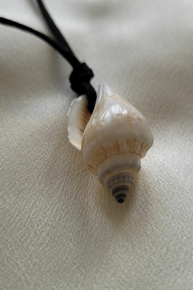 кулон из натуральной ракушки на черном шнурке