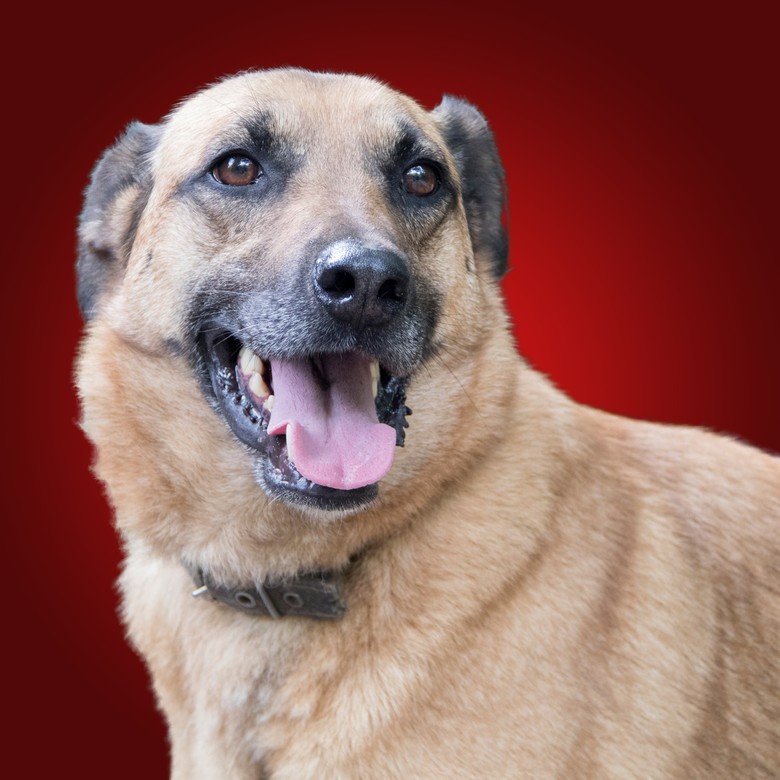 Подарок Ладе