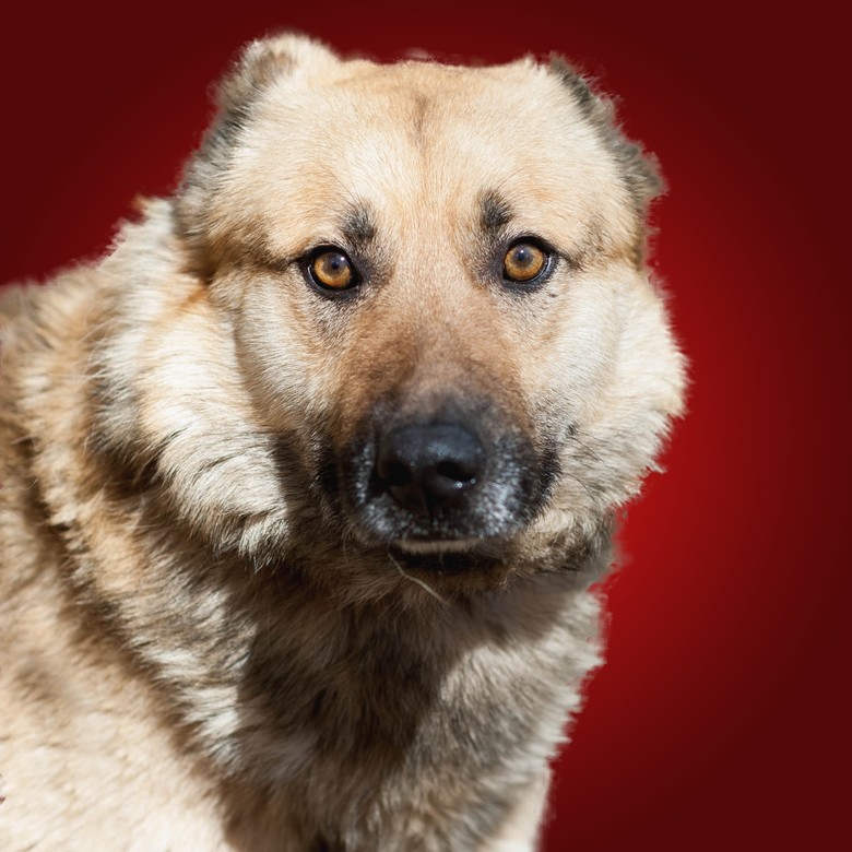 Подарок Матвею