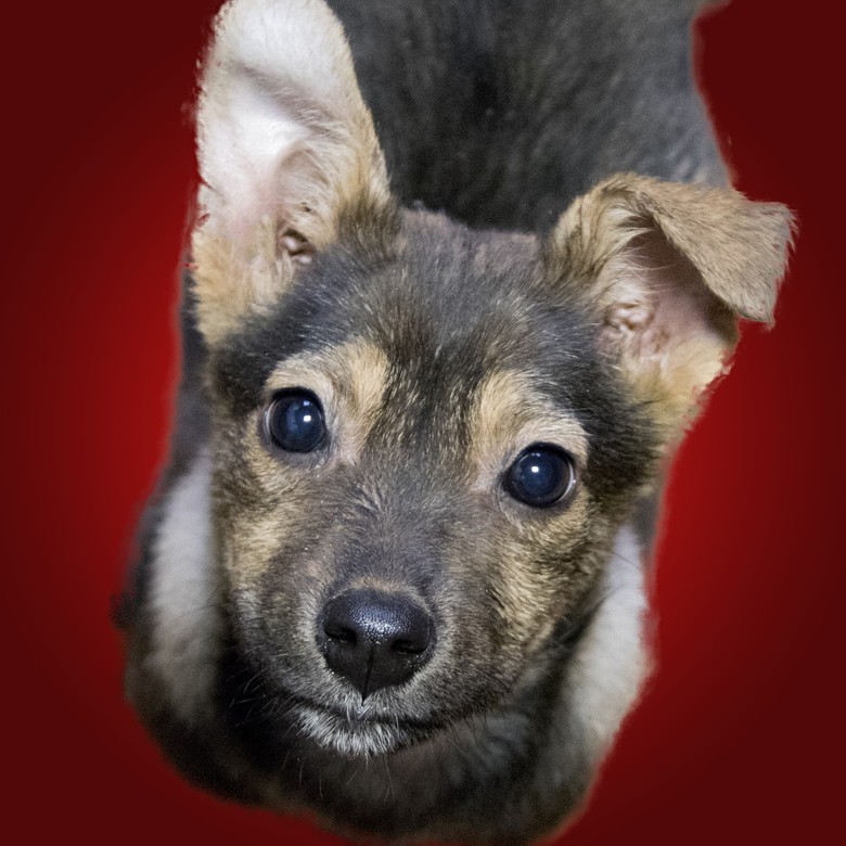 Подарок Норе