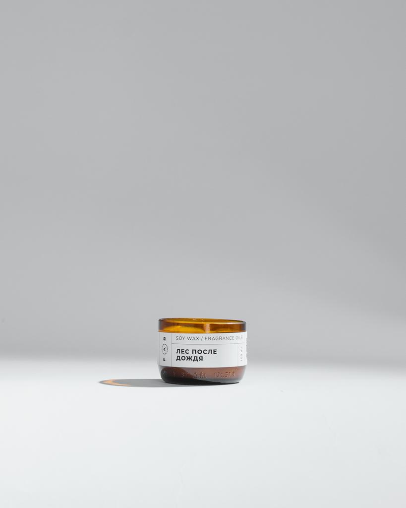лес после дождя