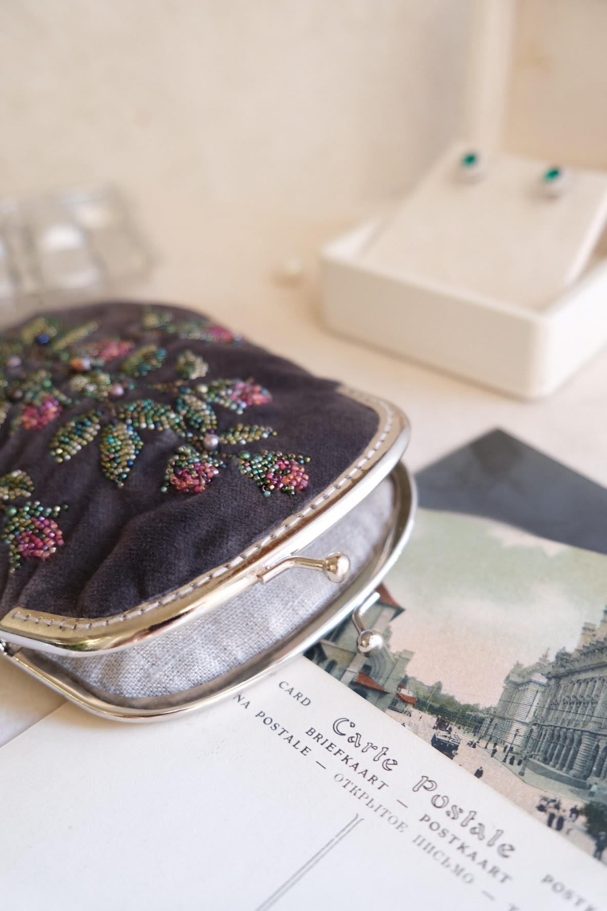 "Зимний сад" бархатный кошелёк с фермуаром и вышивкой в виде бутонов роз