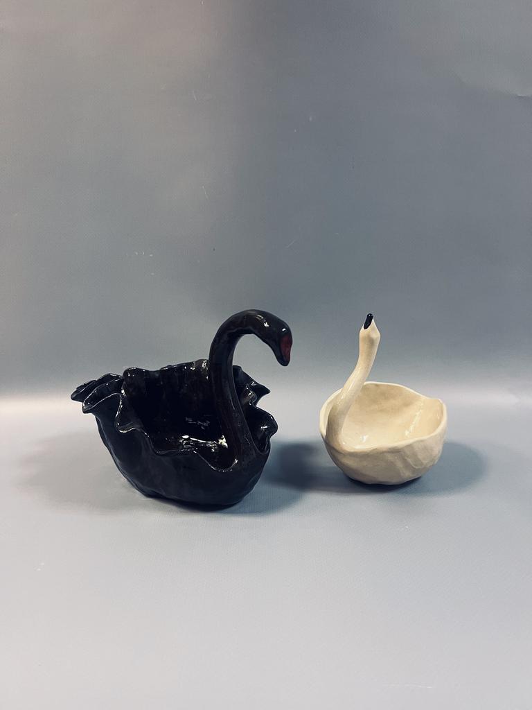 Черный лебедь