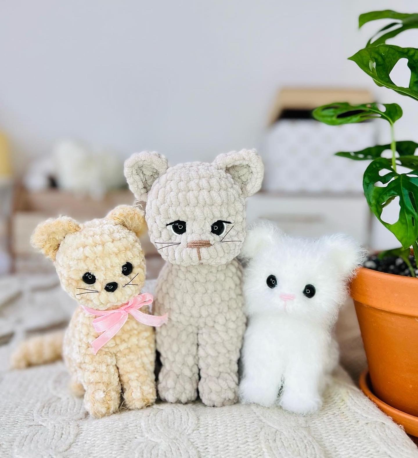 МК Малыш котик