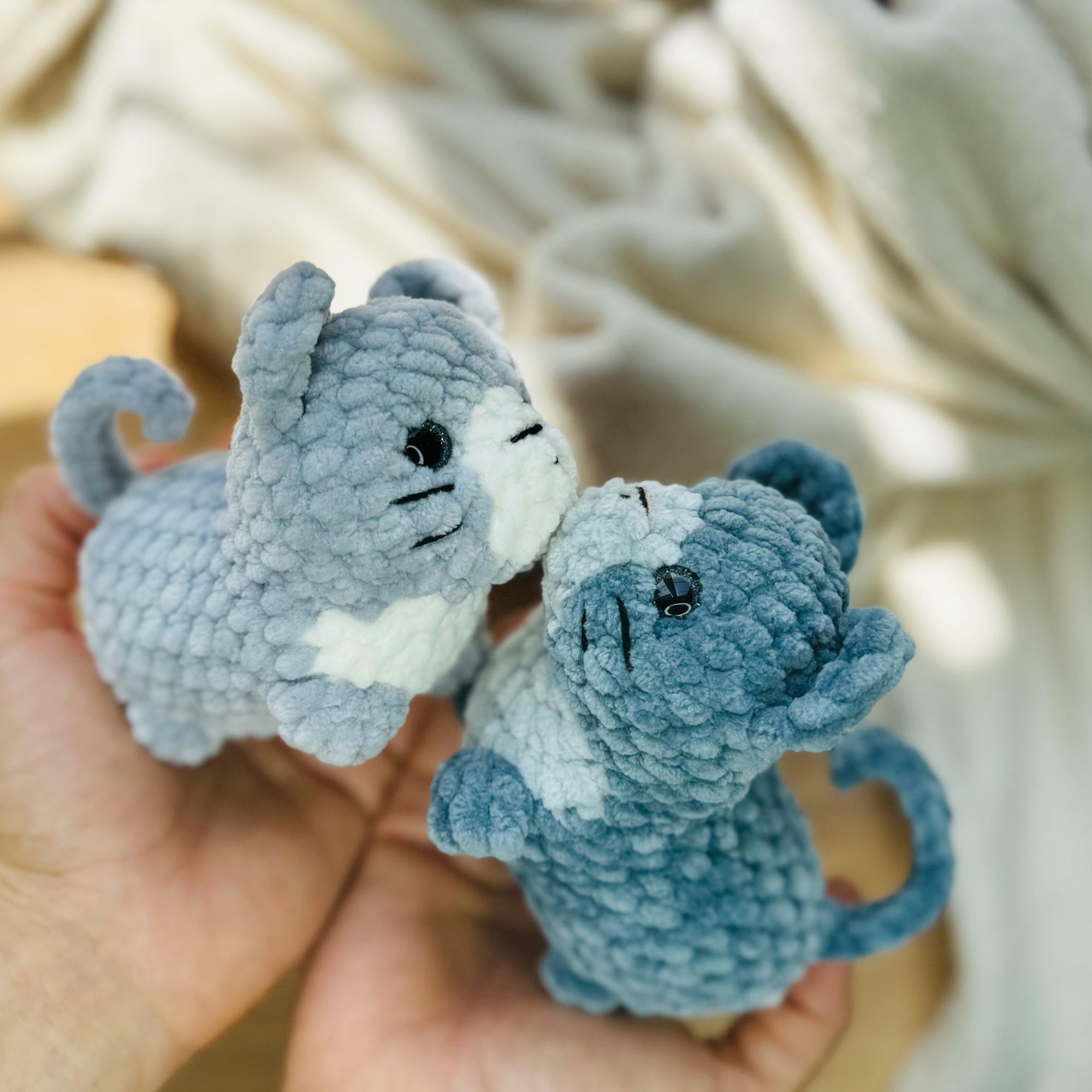 МК «Котята»