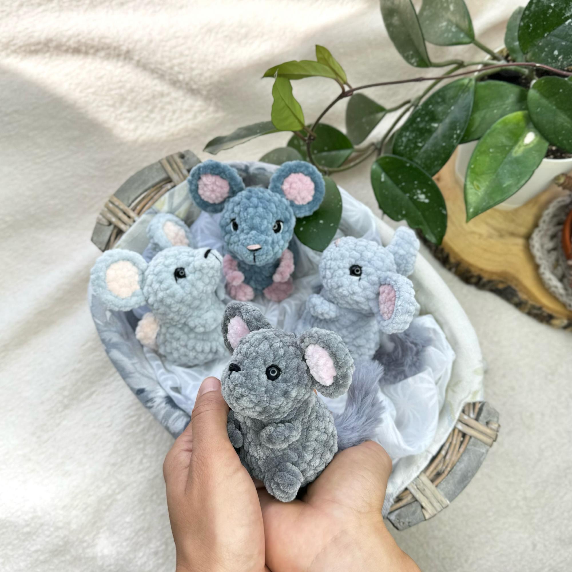 МК «Мышка и шиншилла»