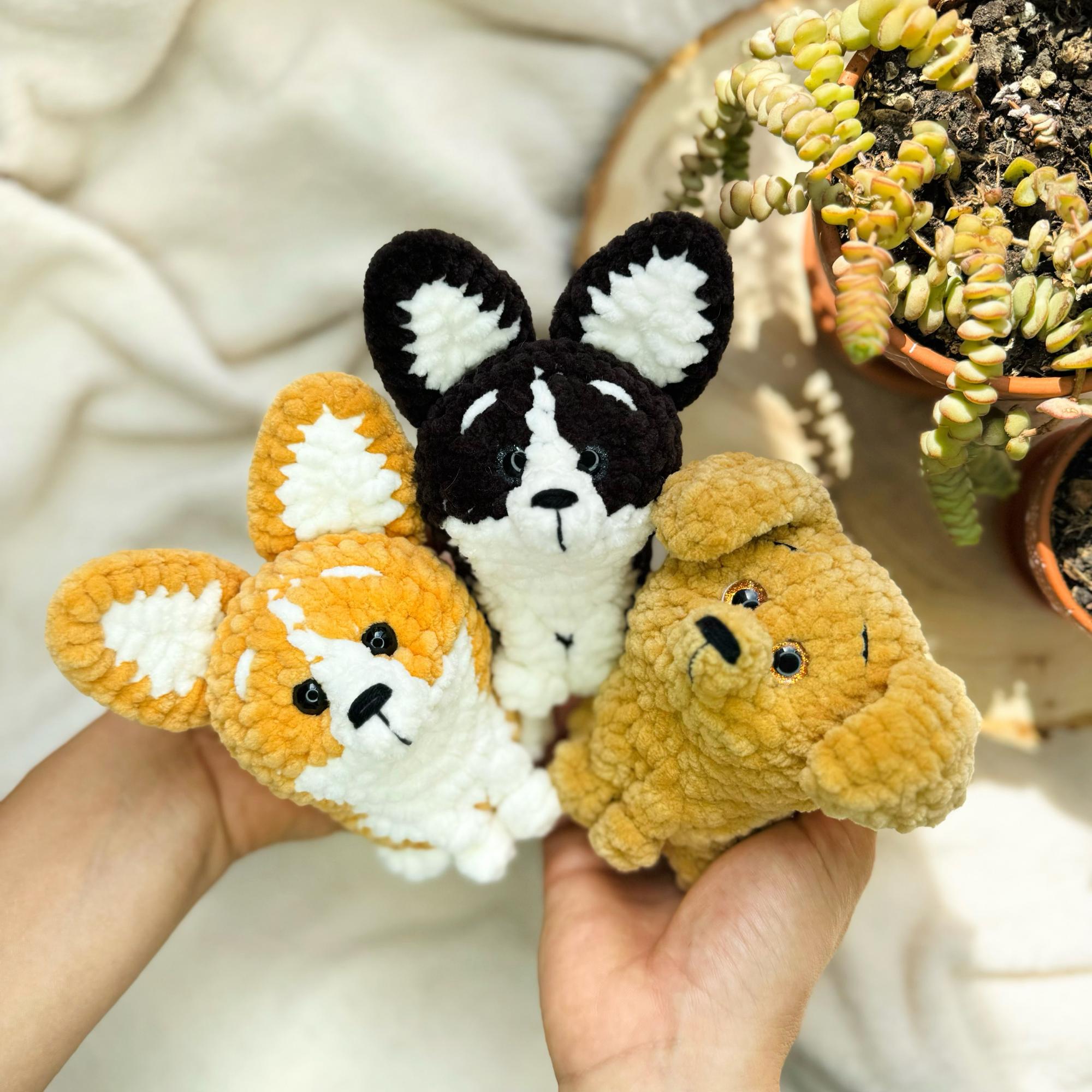 МК «Корги и Лабрадор»