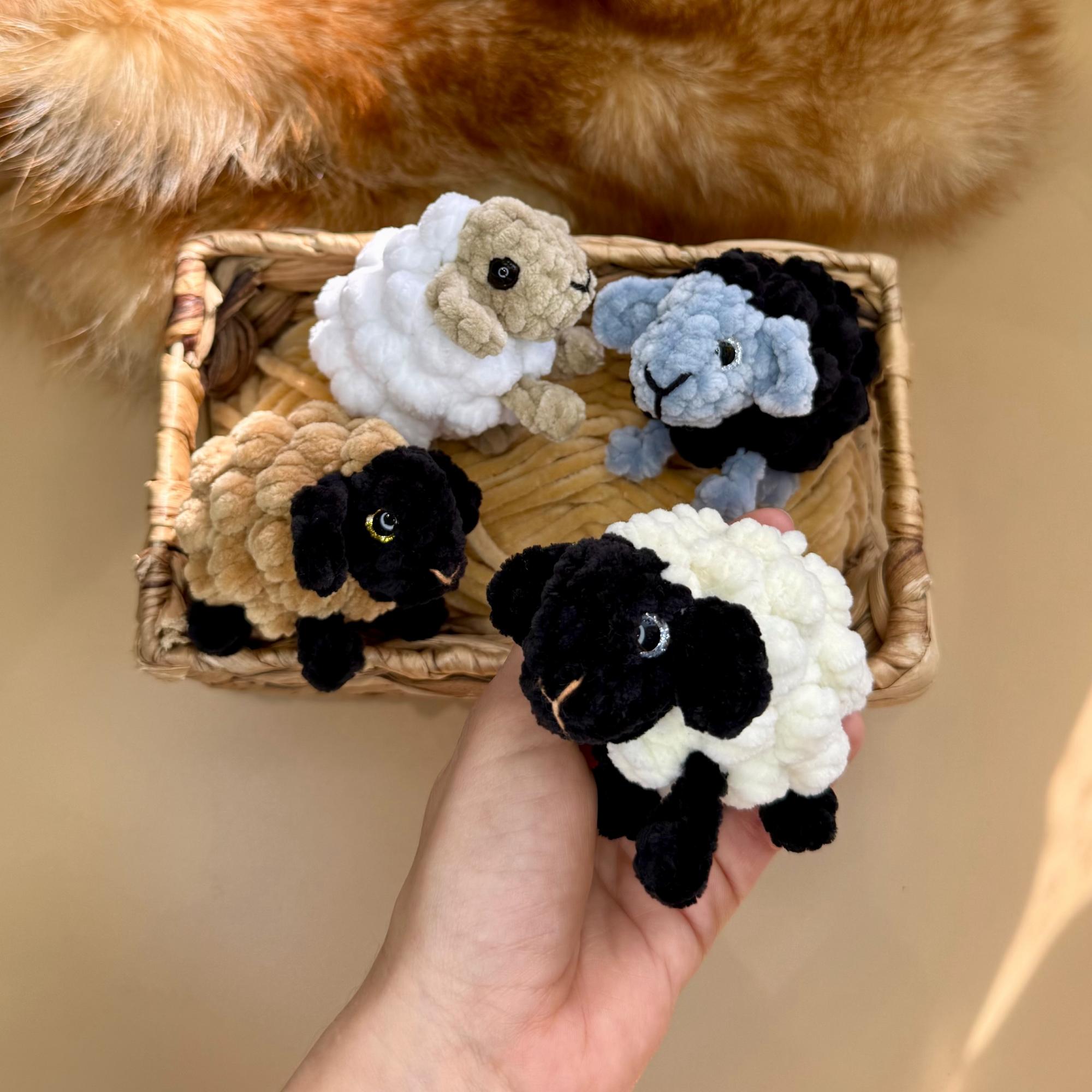 МК «Овечка»