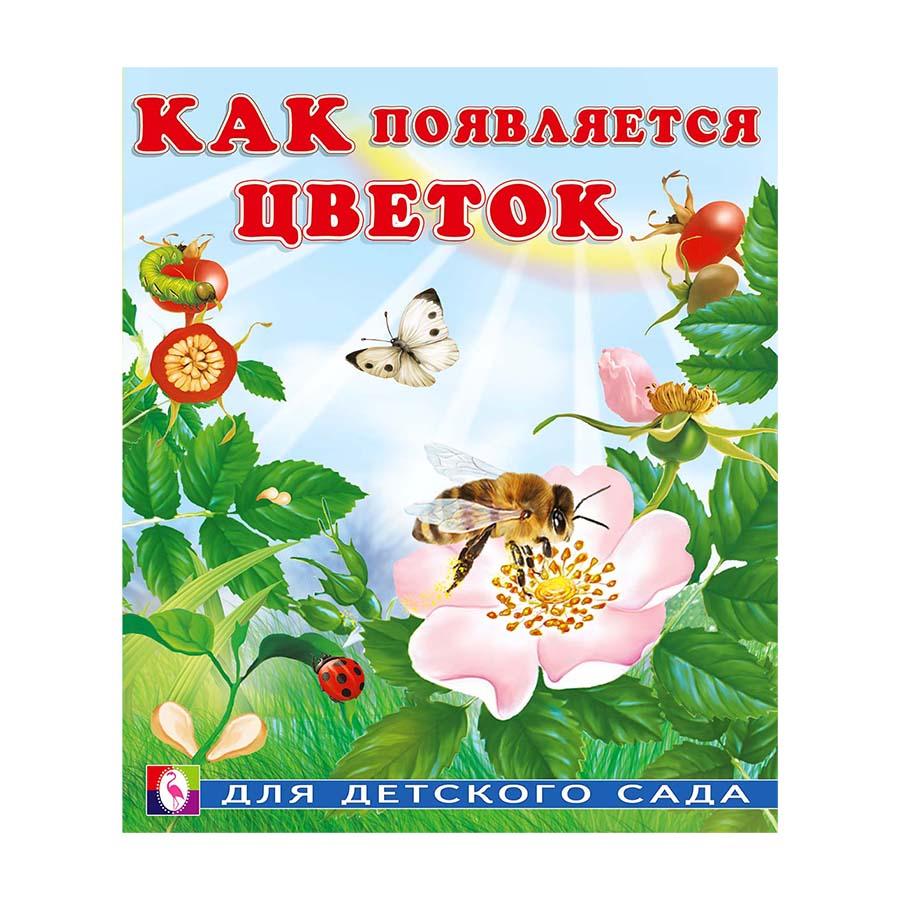 Как появляется цветок
