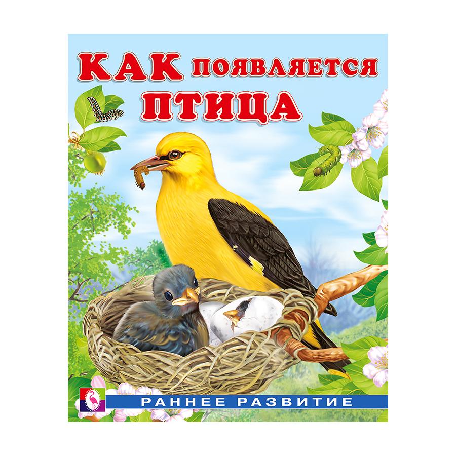 Как появляется птица