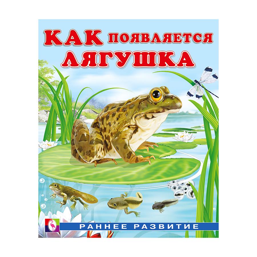 Как появляется лягушка