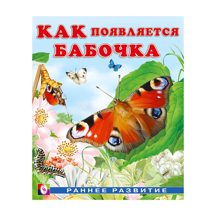 Как появляется бабочка