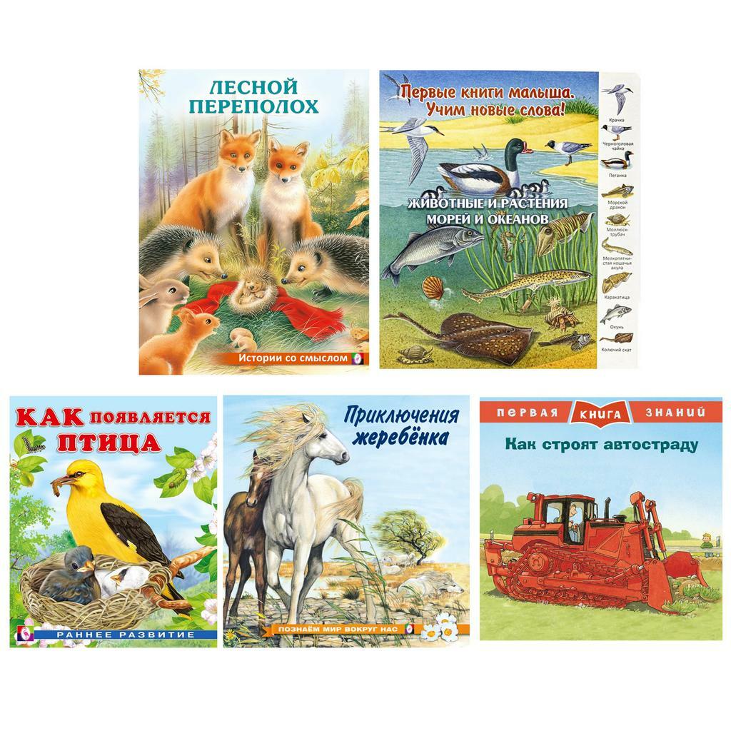 Набор №3 развивающих книг для детей с красочными картинками
