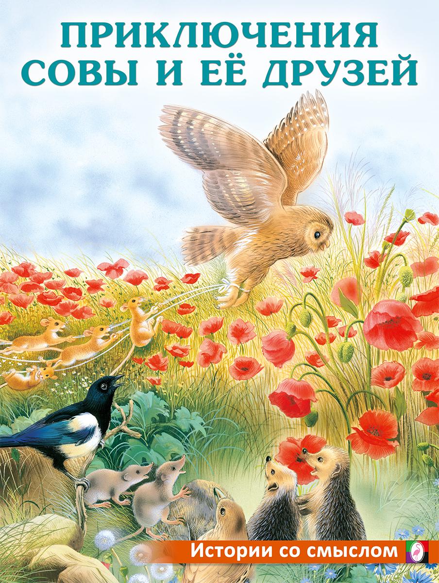 Набор №4 развивающих книг для детей с красочными картинками