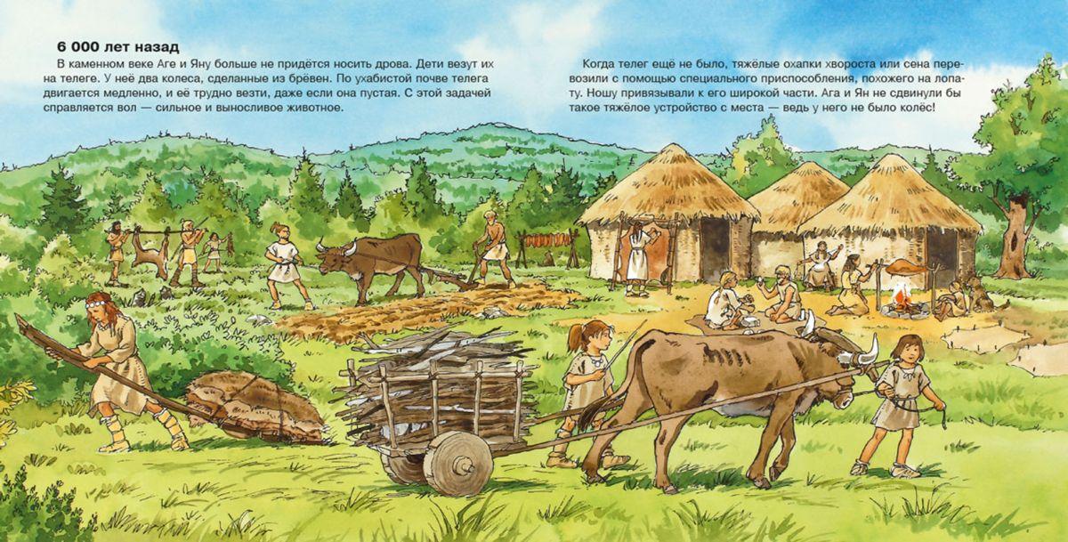 Набор №4 развивающих книг для детей с красочными картинками