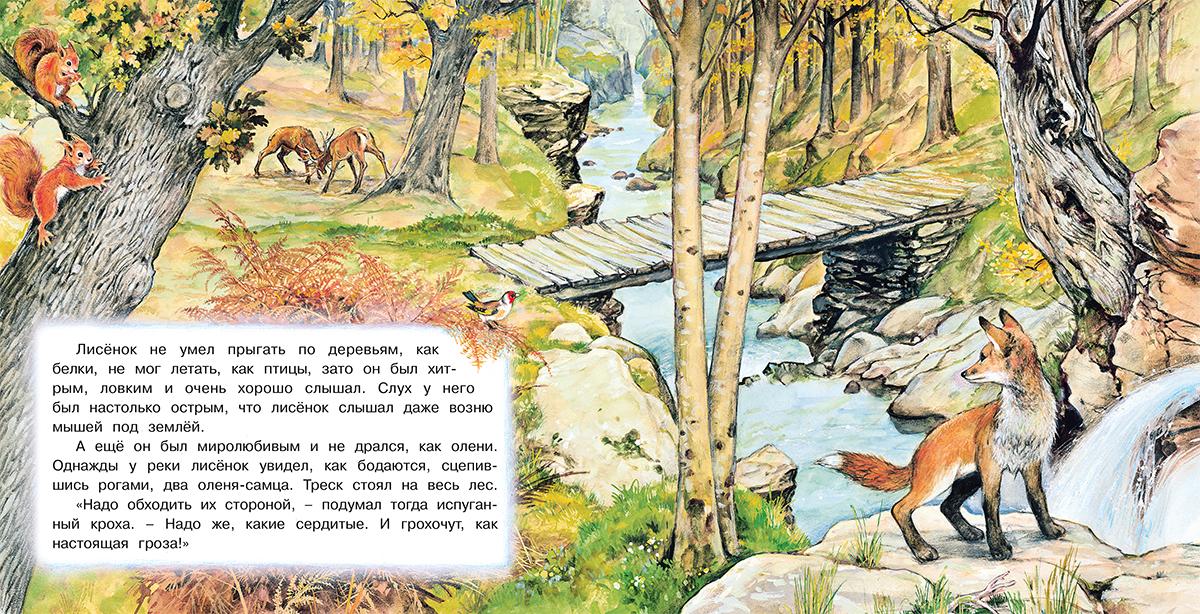 Набор №4 развивающих книг для детей с красочными картинками