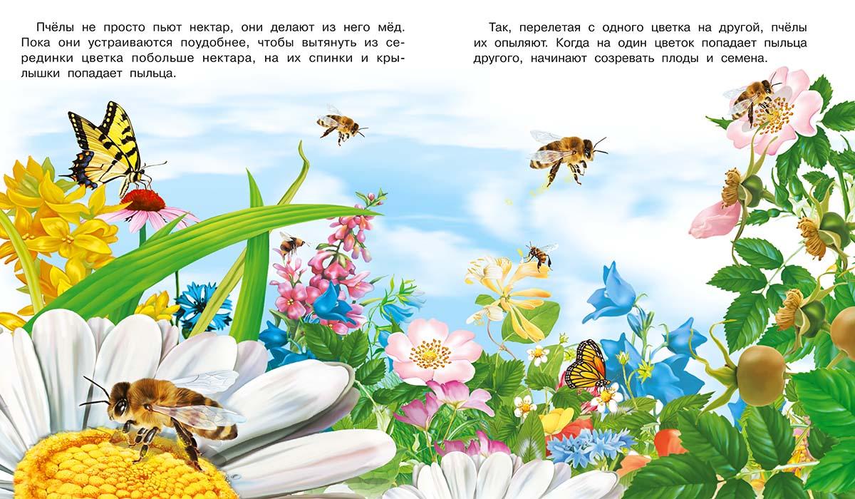 Набор №4 развивающих книг для детей с красочными картинками