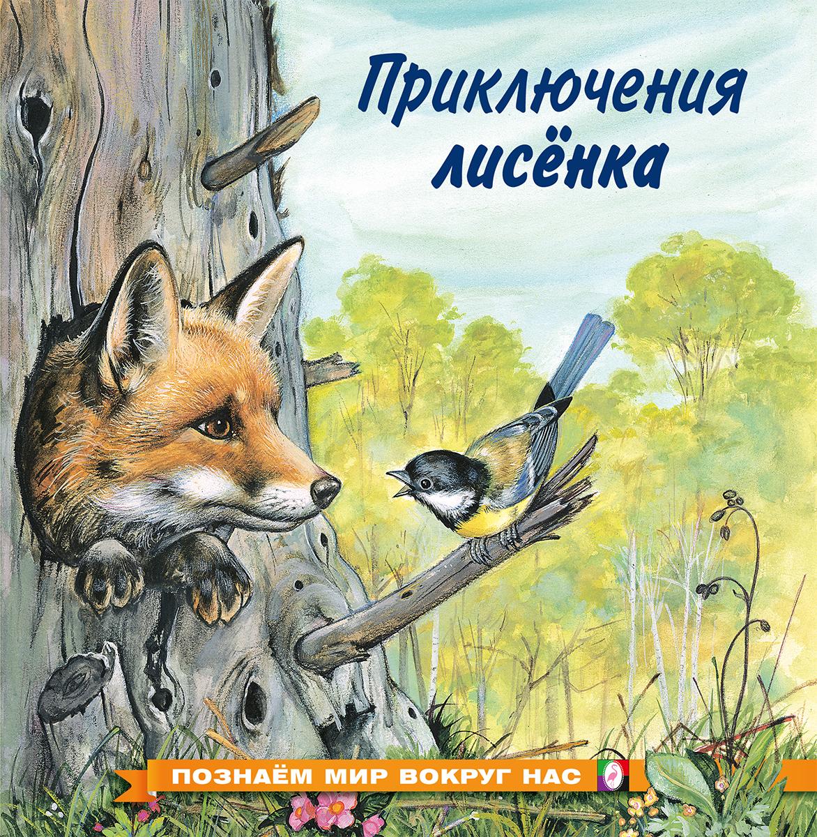 Набор №4 развивающих книг для детей с красочными картинками