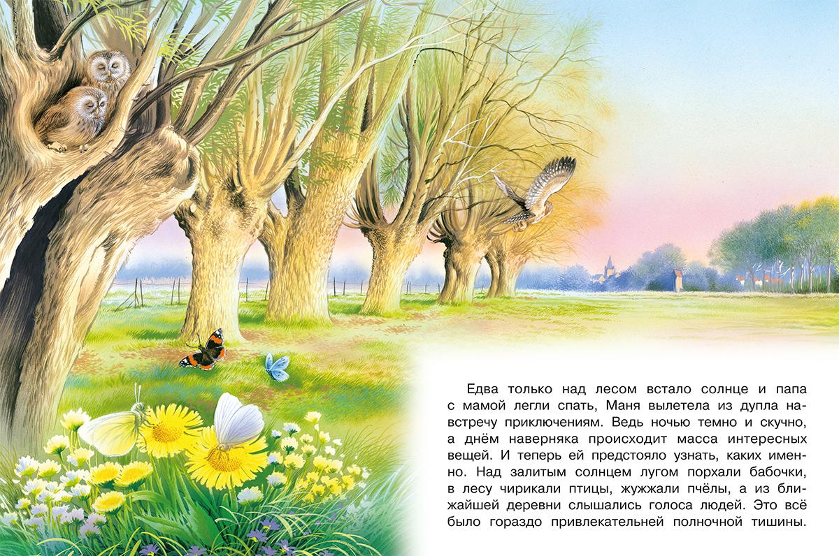 Набор №4 развивающих книг для детей с красочными картинками