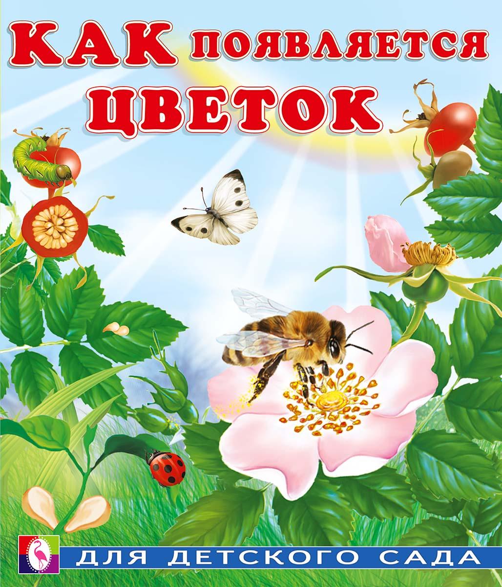 Набор №4 развивающих книг для детей с красочными картинками