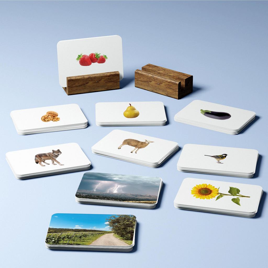 Подарочный набор для курса Развития речи