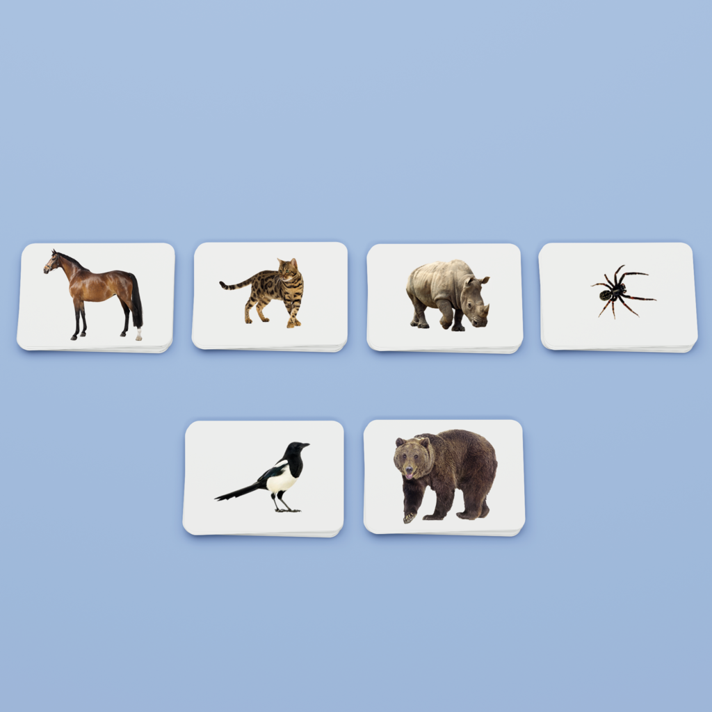 Животные. Набор развивающих карточек для детей Монтессори