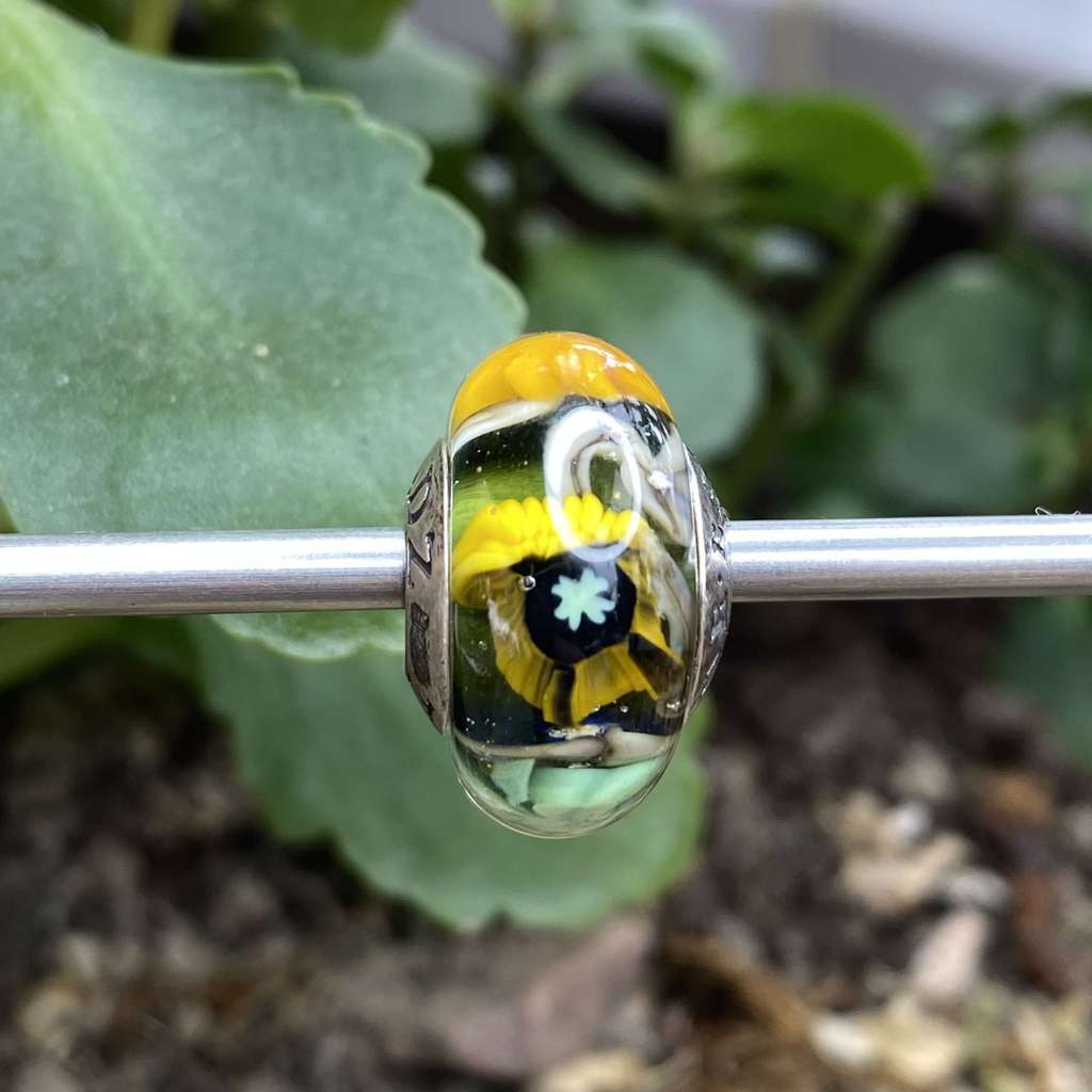 AQUARIUM  1 St Patrick on green