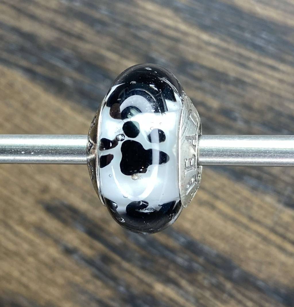 Sat AQUARIUM 2 pet paws